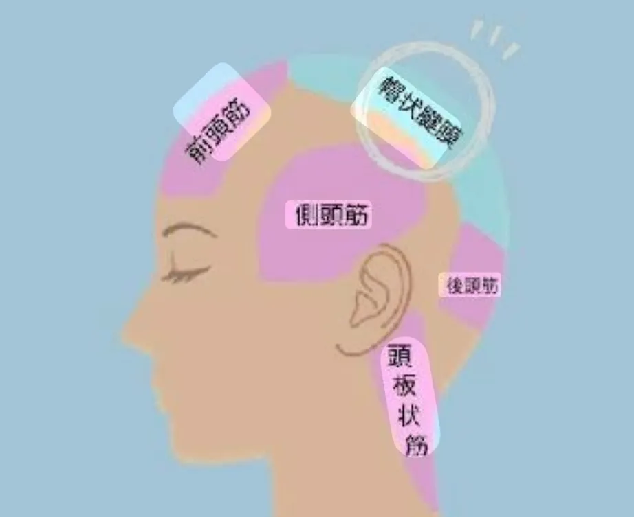育毛と頭皮保護で理想の髪を目指すための実践ガイド