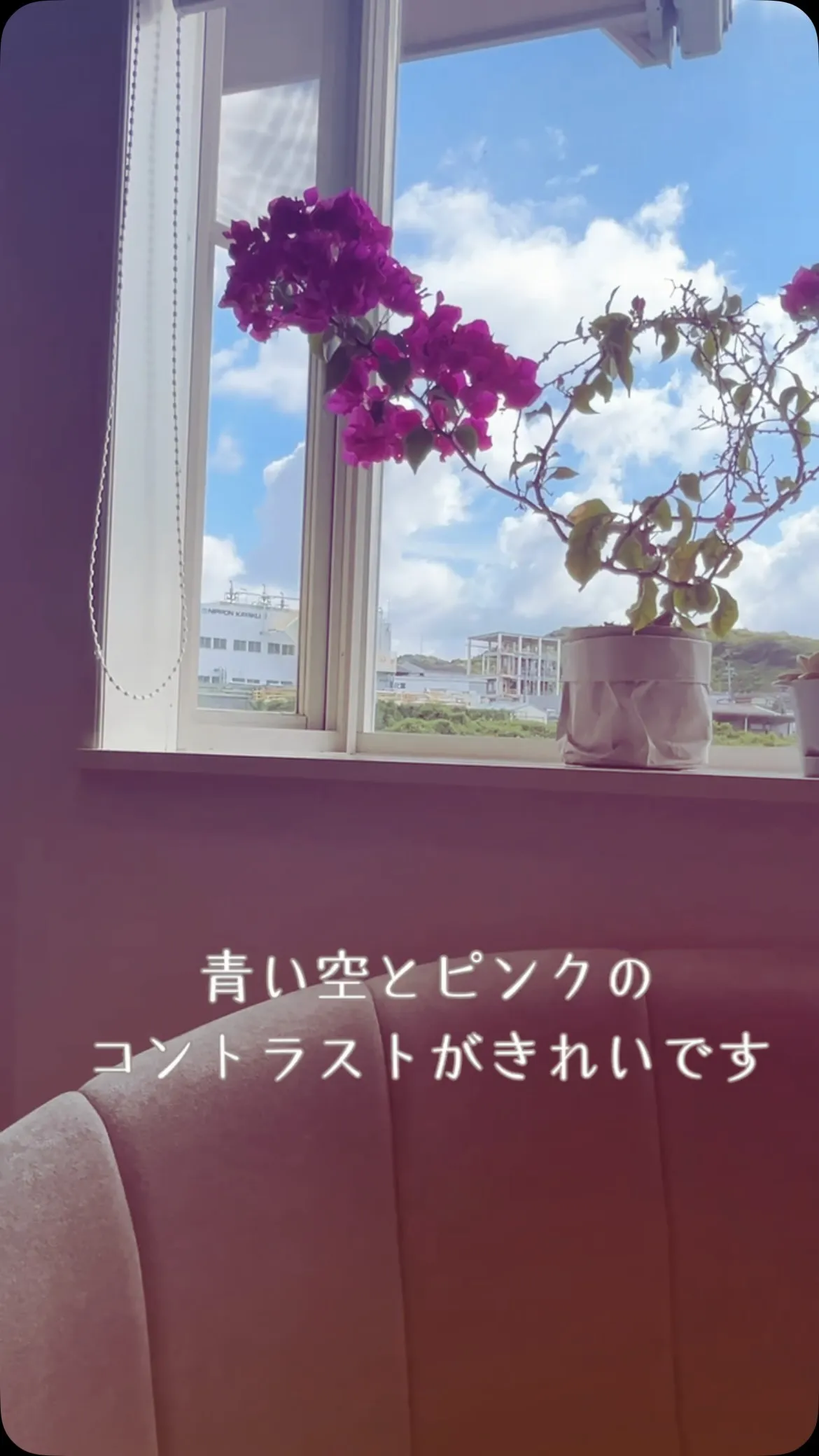 #山陽小野田市美容室 
