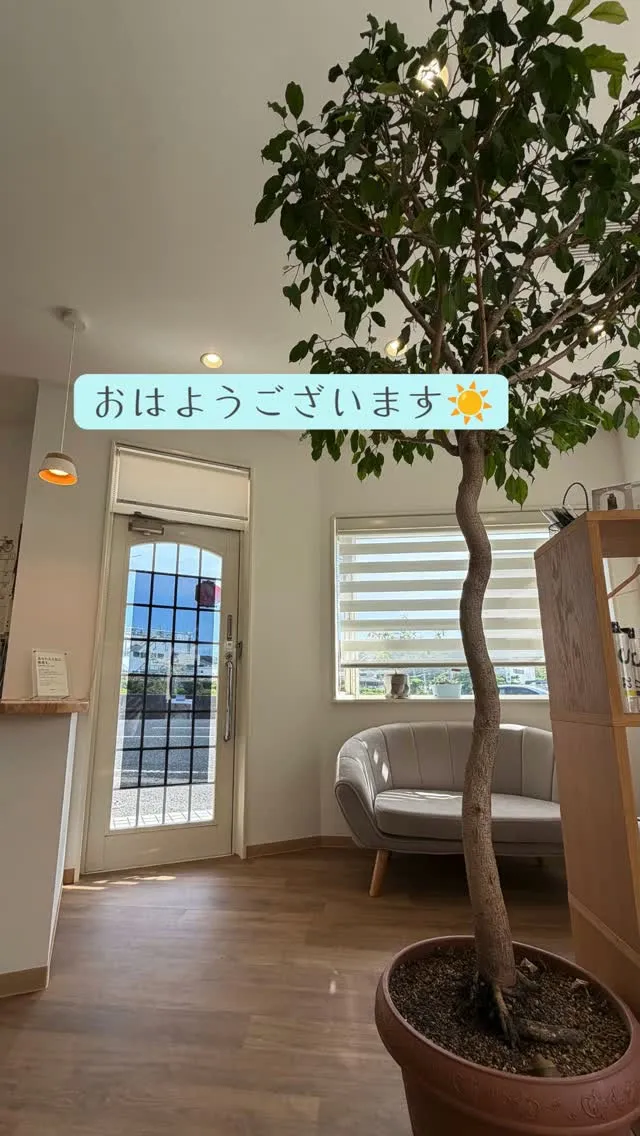 今日は待ちに待った髪育の本が